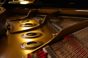 Director of Music’s Fortnightly Blog - 12th June 2026 Director of Music’s Fortnightly Blog - 12th June 2026