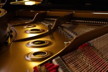 Director of Music’s Fortnightly Blog - 12th June 2026 Director of Music’s Fortnightly Blog - 12th June 2026