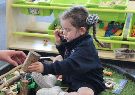 Cygnets Forest Play